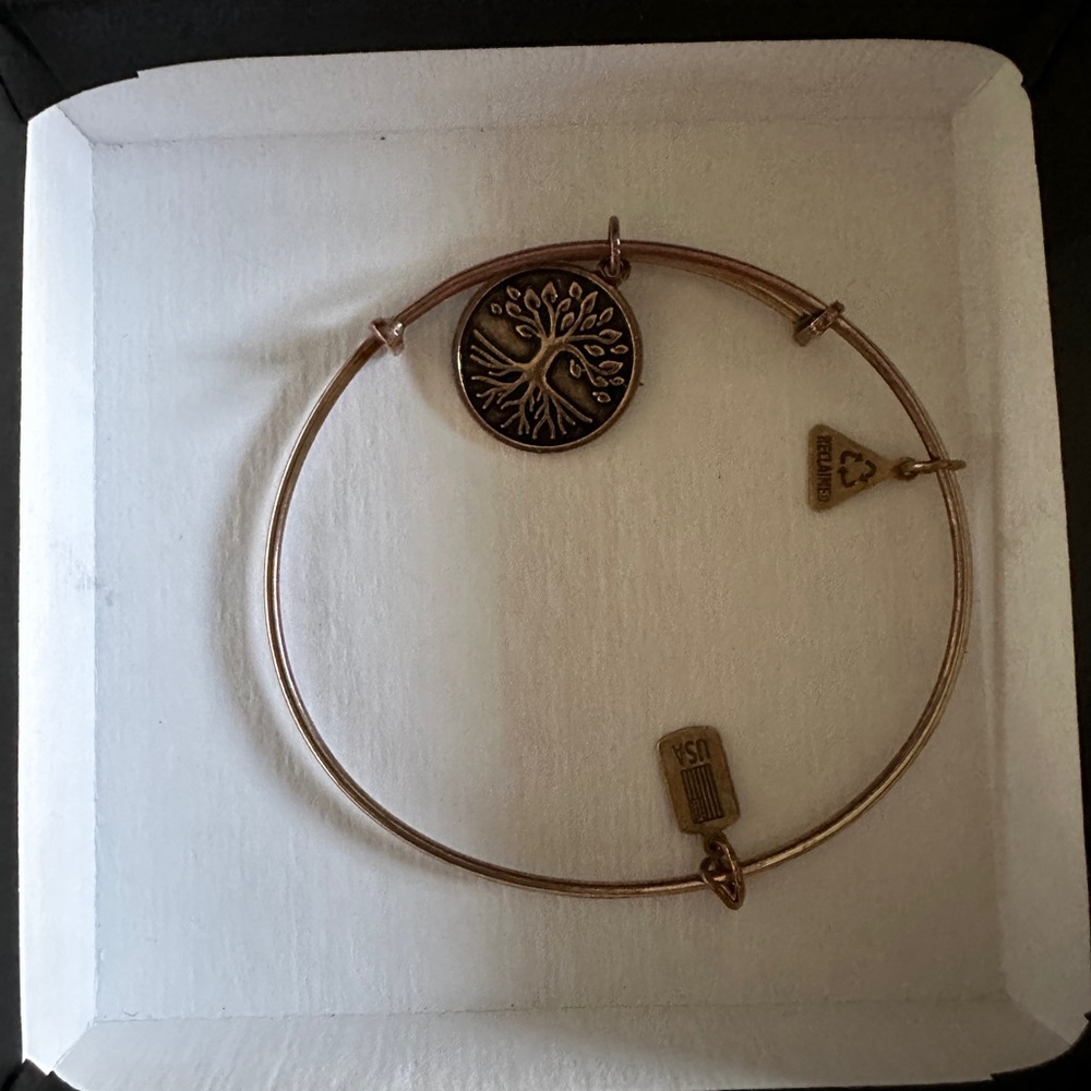 Alex and Ani bracelet bundle